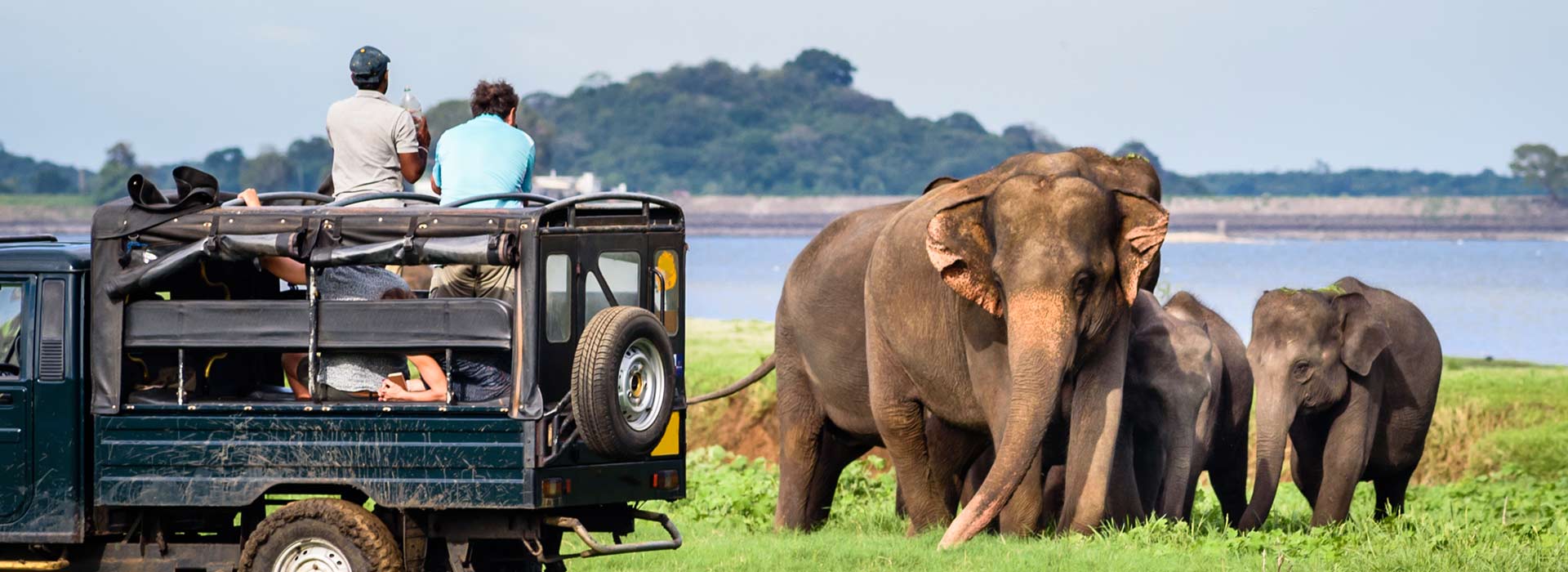 7 Nights / 8 Days Sri Lanka Tour